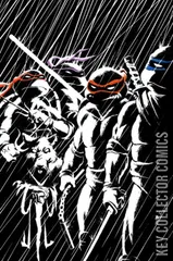 Variant Cover for Teenage Mutant Ninja Turtles #1