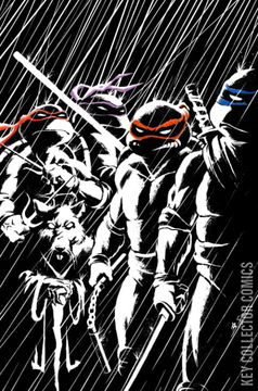 Variant Cover for Teenage Mutant Ninja Turtles #1