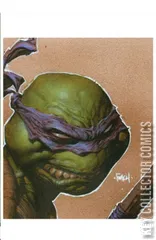 Variant Cover for Teenage Mutant Ninja Turtles #1