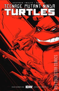 Teenage Mutant Ninja Turtles #1 