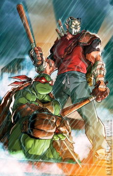 Variant Cover for Teenage Mutant Ninja Turtles #1