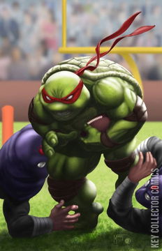 Variant Cover for Teenage Mutant Ninja Turtles #1