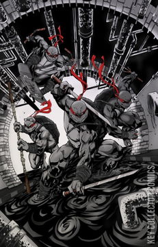 Variant Cover for Teenage Mutant Ninja Turtles #1