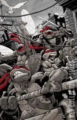 Variant Cover for Teenage Mutant Ninja Turtles #1