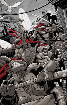 Variant Cover for Teenage Mutant Ninja Turtles #1