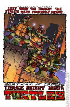 Variant Cover for Teenage Mutant Ninja Turtles #1