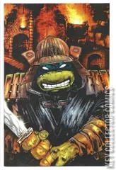 Variant Cover for Teenage Mutant Ninja Turtles: Saturday Morning Adventures #10