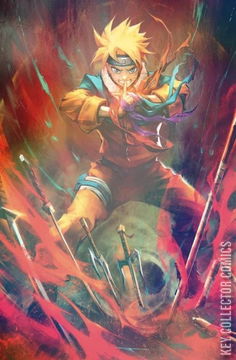 Variant Cover for Teenage Mutant Ninja Turtles / Naruto #1