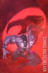 Variant Cover for Thundercats #10