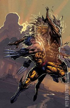 Variant Cover for Wolverine: Revenge #2