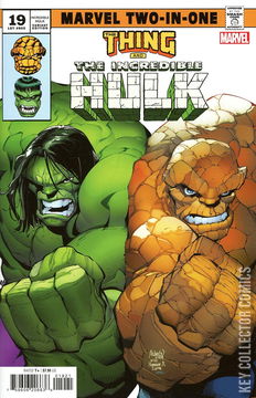 Variant Cover for Incredible Hulk, The #19