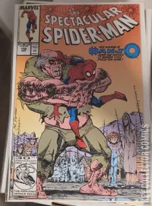 Peter Parker: The Spectacular Spider-Man #156