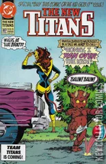 Cover for New Titans, The #87