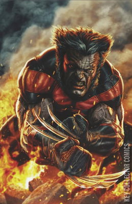 Ultimate Wolverine