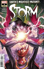 Cover for Storm #4