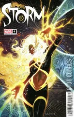Cover for Storm #4