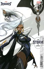 Cover for Storm #4