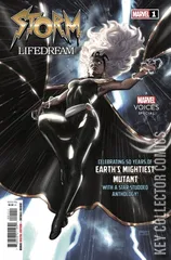 Cover for Storm: Lifedream #1