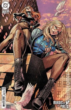 Variant Cover for Birds of Prey #18