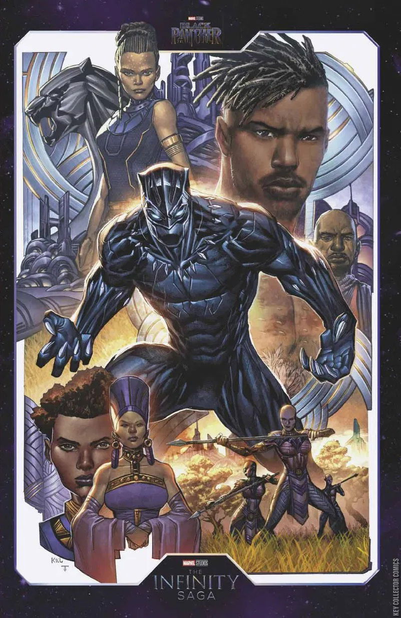 Cover art for Black Panther #15 