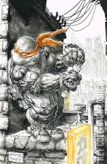 Cover for Teenage Mutant Ninja Turtles #2