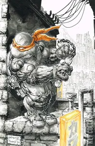 Teenage Mutant Ninja Turtles #2