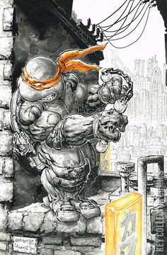 Variant Cover for Teenage Mutant Ninja Turtles #2