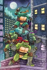 Variant Cover for Teenage Mutant Ninja Turtles #6