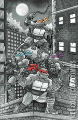 Variant Cover for Teenage Mutant Ninja Turtles #6