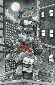 Teenage Mutant Ninja Turtles #6