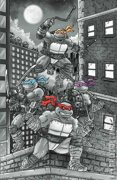 Variant Cover for Teenage Mutant Ninja Turtles #6