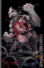 Variant Cover for Teenage Mutant Ninja Turtles #4