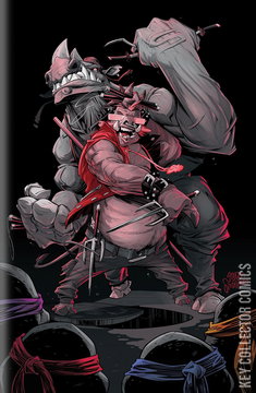 Variant Cover for Teenage Mutant Ninja Turtles #4