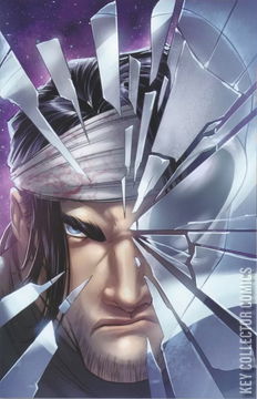 Variant Cover for Midnight Vista #1