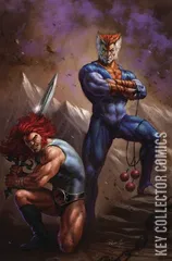 Cover for Thundercats #13