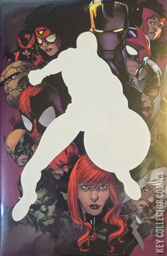 Variant Cover for Captain America #25