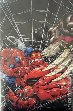 Variant Cover for Hulk #22