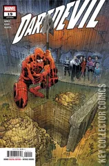 Cover for Daredevil #19