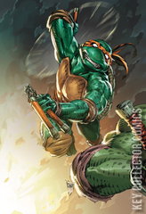 Variant Cover for Teenage Mutant Ninja Turtles #8
