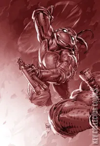 Teenage Mutant Ninja Turtles #8
