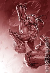 Variant Cover for Teenage Mutant Ninja Turtles #8