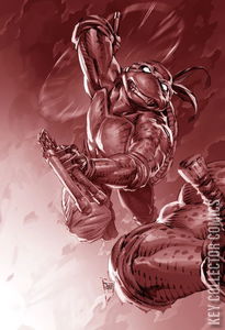 Teenage Mutant Ninja Turtles #8