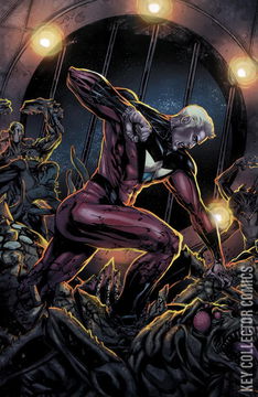 Variant Cover for Irredeemable #24