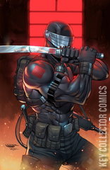 Variant Cover for G.I. Joe: A Real American Hero #21