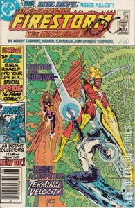 Firestorm the Nuclear Man #24