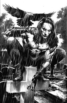 Variant Cover for Crow: Dead Time, The #1