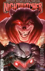 Cover for Teenage Mutant Ninja Turtles: Nightwatcher #7