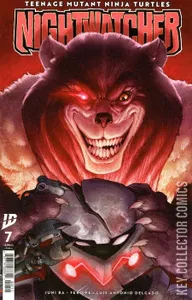 Teenage Mutant Ninja Turtles: Nightwatcher #7