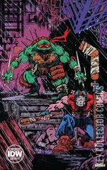 Cover for Raphael: Teenage Mutant Ninja Turtles #1