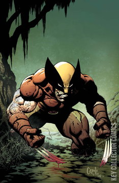 Variant Cover for Wolverine #41